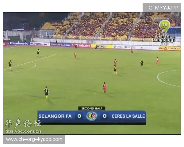 国际足球赛场风云再起：球场传奇，国际足球大赛